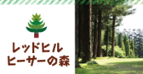 三重県　おでかけ　レッドヒル　ヒーサーの森｜赤塚植物園